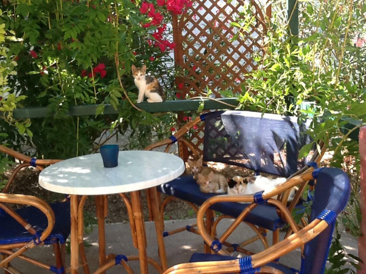 Ettore Holiday home Gardelades