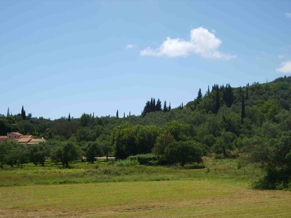 Ettore